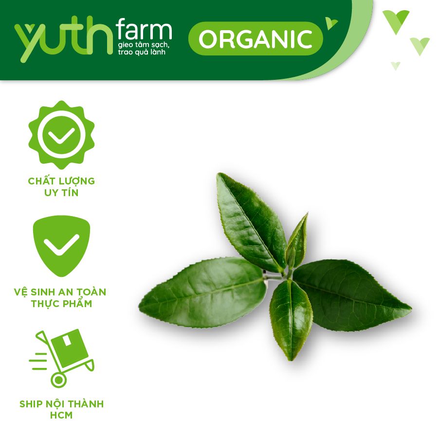  Lá chè [Giao trong TP. Hồ Chí Minh; Trừ Cần Giờ, Hóc Môn, Củ Chi] 