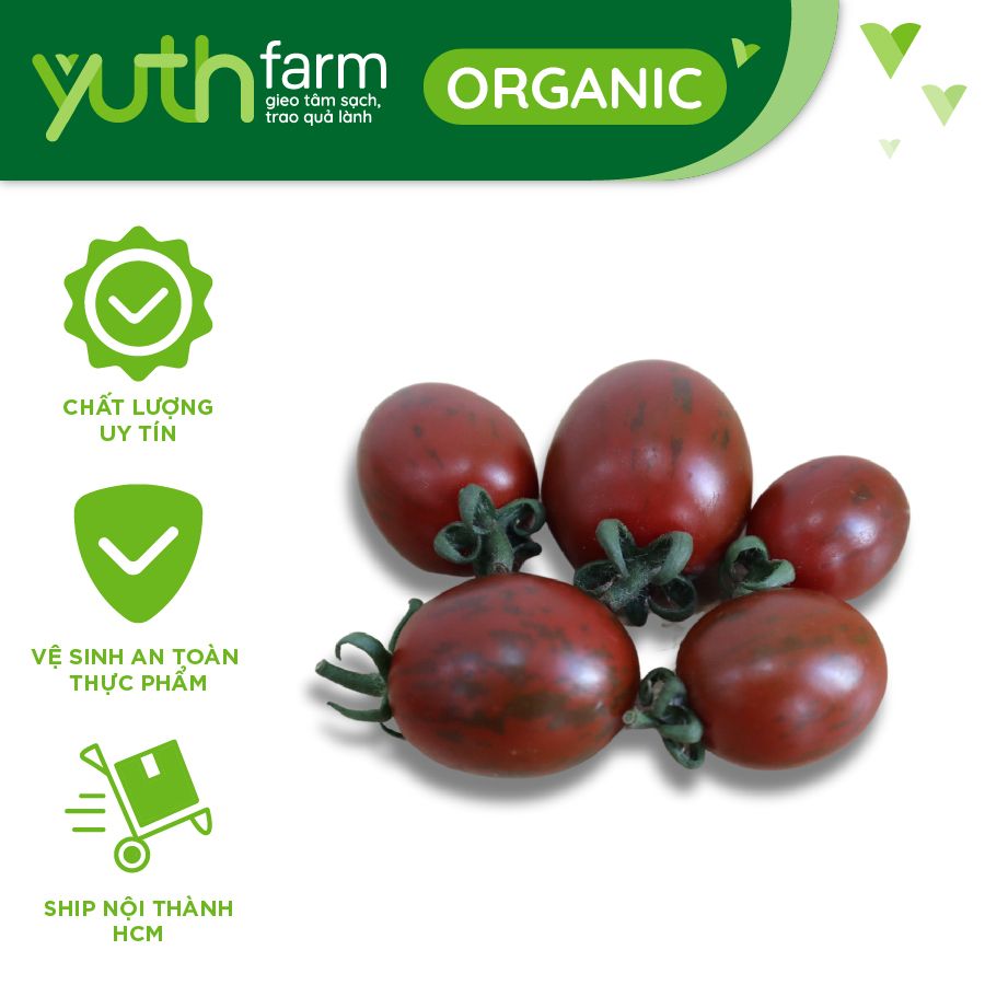  Cà chua cherry 