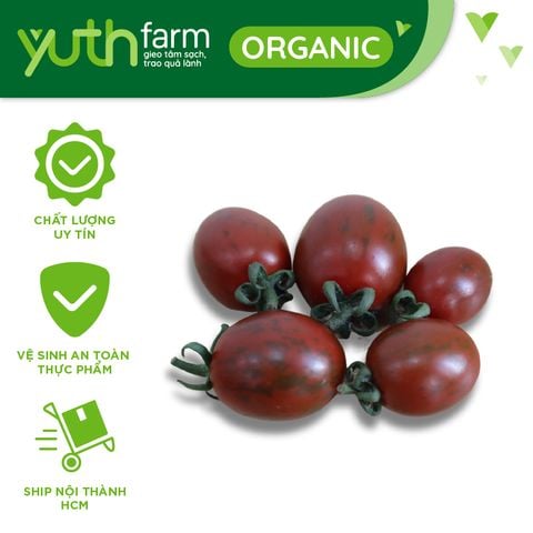  Cà chua cherry 