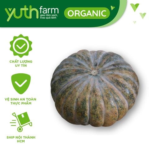  Bí đỏ [Giao trong TP.Hồ Chí Minh, Trừ Cần Giờ, Hóc Môn, Củ Chi] 