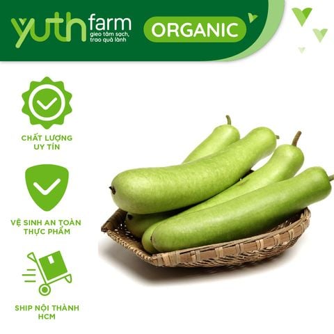  Bầu xanh [Giao trong TP.Hồ Chí Minh, Trừ Cần Giờ, Hóc Môn, Củ Chi] 