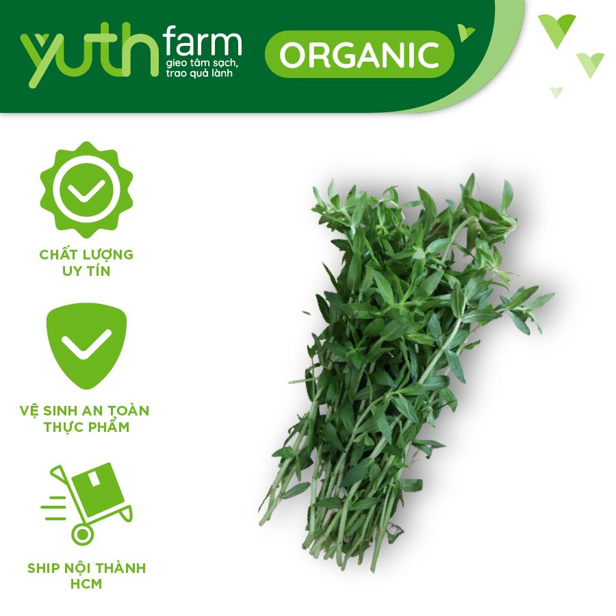  Rau ôm [Giao trong TP. Hồ Chí Minh; Trừ Cần Giờ, Hóc Môn, Củ Chi] 