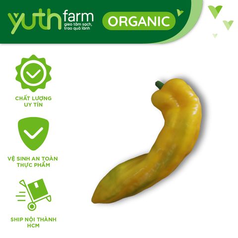  Ớt chuông ngọt vàng [Giao trong TP. Hồ Chí Minh; Trừ Cần Giờ, Hóc Môn, Củ Chi] 