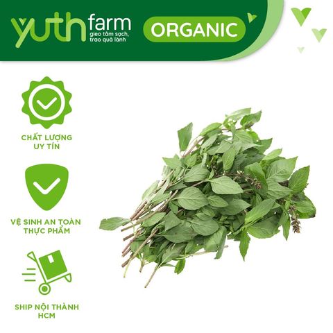  Rau húng quế [Giao trong TP. Hồ Chí Minh; Trừ Cần Giờ, Hóc Môn, Củ Chi] 