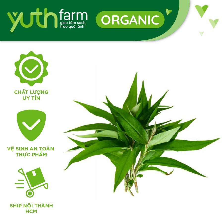  Rau răm [Giao trong TP. Hồ Chí Minh; Trừ Cần Giờ, Hóc Môn, Củ Chi] 