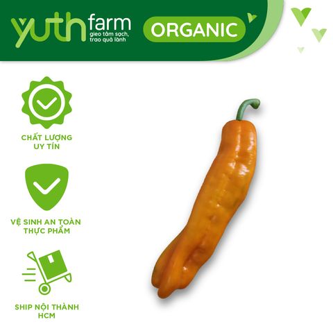  Ớt chuông ngọt cam [Giao trong TP. Hồ Chí Minh; Trừ Cần Giờ, Hóc Môn, Củ Chi] 