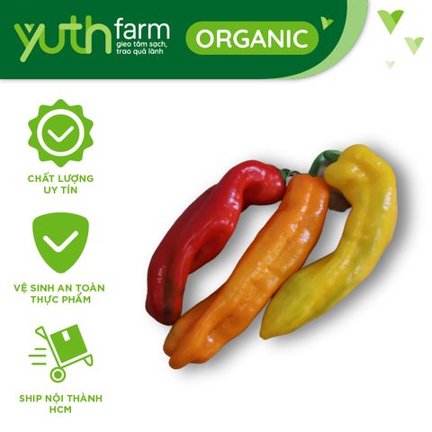  Ớt chuông ngọt đỏ vàng cam [Giao trong TP. Hồ Chí Minh; Trừ Cần Giờ, Hóc Môn, Củ Chi] 