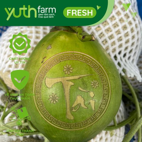  Dừa khắc chữ (Mã Tết) [Giao trong TP. Hồ Chí Minh; Trừ Cần Giờ, Hóc Môn, Củ Chi] 