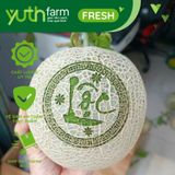  Dưa lưới khắc chữ (Mã tết) [Giao trong TP. Hồ Chí Minh; Trừ Cần Giờ, Hóc Môn, Củ Chi] 