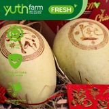  Xoài khắc chữ (Mã tết) [Giao trong TP. Hồ Chí Minh; Trừ Cần Giờ, Hóc Môn, Củ Chi] 