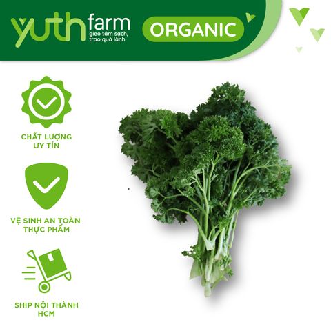  Ngò tây [Giao trong TP. Hồ Chí Minh; Trừ Cần Giờ, Hóc Môn, Củ Chi] 