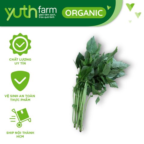  Rau kinh giới [Giao trong TP. Hồ Chí Minh; Trừ Cần Giờ, Hóc Môn, Củ Chi] 