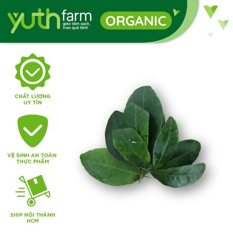  Lá chanh [Giao trong TP. Hồ Chí Minh; Trừ Cần Giờ, Hóc Môn, Củ Chi] 