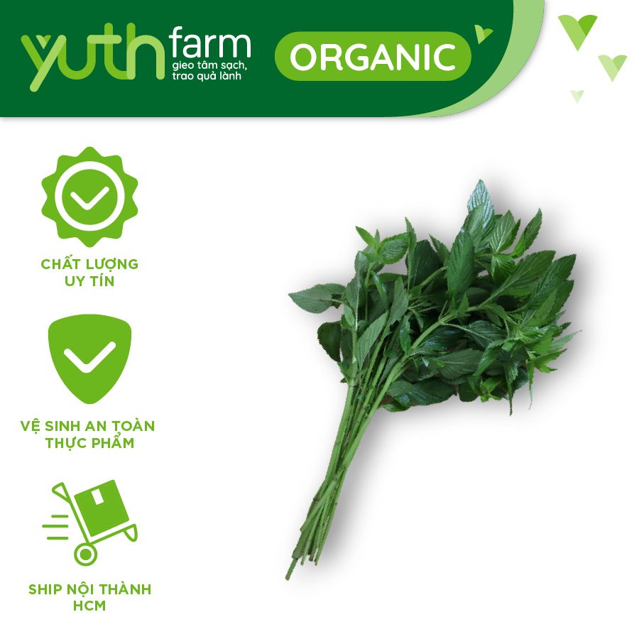  Rau húng cây [Giao trong TP. Hồ Chí Minh; Trừ Cần Giờ, Hóc Môn, Củ Chi] 