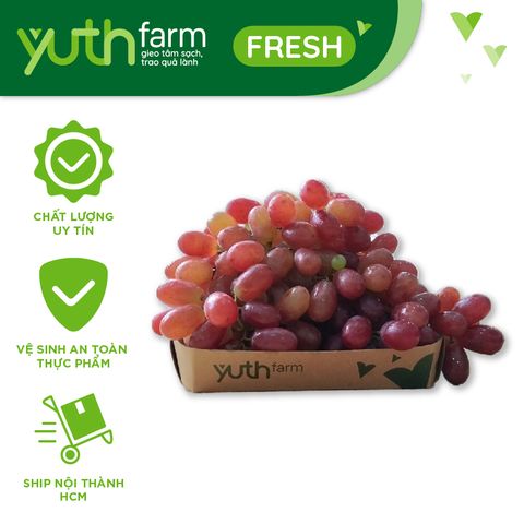  Nho đỏ không hạt [Giao trong TP. Hồ Chí Minh; Trừ Cần Giờ, Hóc Môn, Củ Chi] 
