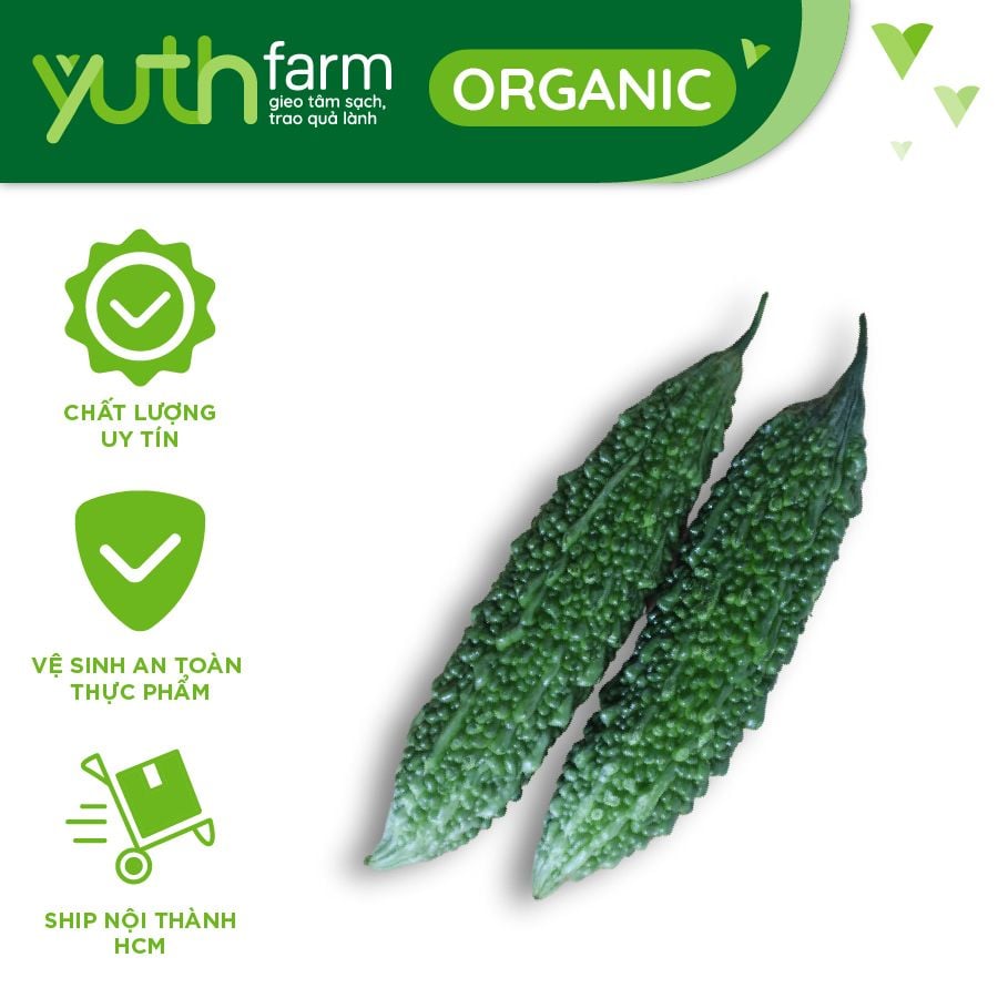  Khổ qua giống Ấn Độ [Giao trong TP. Hồ Chí Minh; Trừ Cần Giờ, Hóc Môn, Củ Chi] 