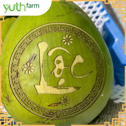  Dừa khắc chữ (Mã Tết) [Giao trong TP. Hồ Chí Minh; Trừ Cần Giờ, Hóc Môn, Củ Chi] 