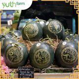  Dưa hấu khắc chữ (Mã Tết) [Giao trong TP. Hồ Chí Minh; Trừ Cần Giờ, Hóc Môn, Củ Chi] 