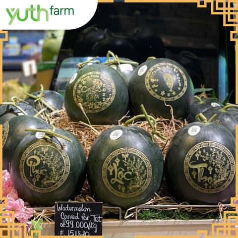  Dưa hấu khắc chữ (Mã Tết) [Giao trong TP. Hồ Chí Minh; Trừ Cần Giờ, Hóc Môn, Củ Chi] 