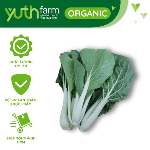  Cải bẹ trắng [Giao trong TP. Hồ Chí Minh; Trừ Cần Giờ, Hóc Môn, Củ Chi] 