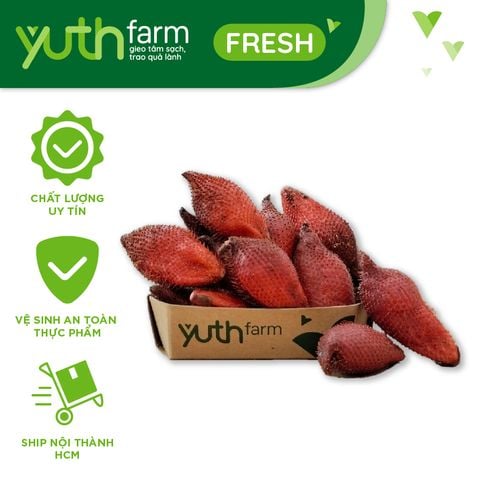  Mây Thái [Giao trong TP. Hồ Chí Minh; Trừ Cần Giờ, Hóc Môn, Củ Chi] 