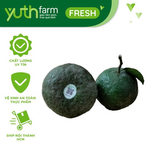  Cam sành [Giao trong TP. Hồ Chí Minh; Trừ Cần Giờ, Hóc Môn, Củ Chi] 