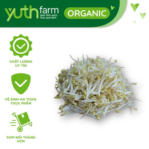  Giá đỗ [Giao trong TP. Hồ Chí Minh; Trừ Cần Giờ, Hóc Môn, Củ Chi] 