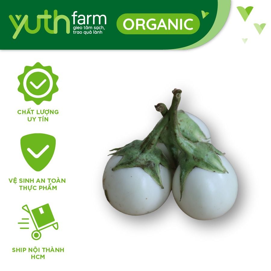  Cà pháo [Giao trong TP. Hồ Chí Minh; Trừ Cần Giờ, Hóc Môn, Củ Chi] 