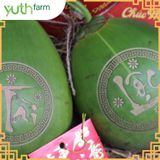  Dừa khắc chữ (Mã Tết) [Giao trong TP. Hồ Chí Minh; Trừ Cần Giờ, Hóc Môn, Củ Chi] 