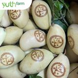  Xoài khắc chữ (Mã tết) [Giao trong TP. Hồ Chí Minh; Trừ Cần Giờ, Hóc Môn, Củ Chi] 