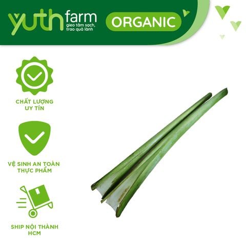  Bạc Hà (Dọc mùng) [Giao trong TP.Hồ Chí Minh, Trừ Cần Giờ, Hóc Môn, Củ Chi] 