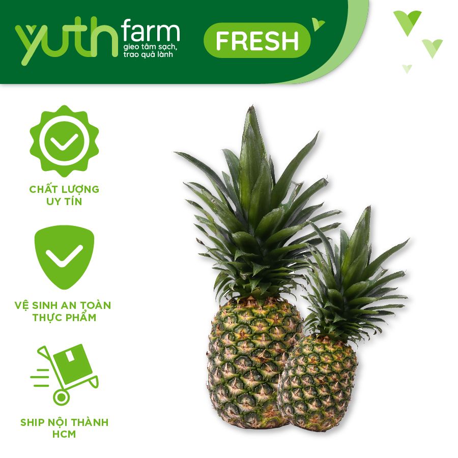  Thơm mật [Giao trong TP. Hồ Chí Minh; Trừ Cần Giờ, Hóc Môn, Củ Chi] 