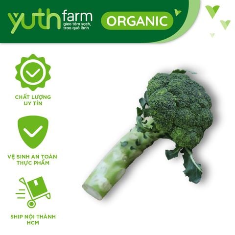  Bông cải xanh [Giao trong TP. Hồ Chí Minh; Trừ Cần Giờ, Hóc Môn, Củ Chi] 