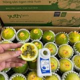  Chanh dây vàng ngọt hương mật ong 
