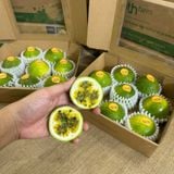  Chanh dây vàng ngọt hương mật ong 