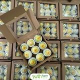  Chanh dây vàng ngọt hương mật ong 