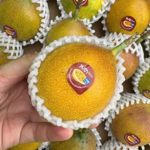  Chanh dây vàng Colombia 