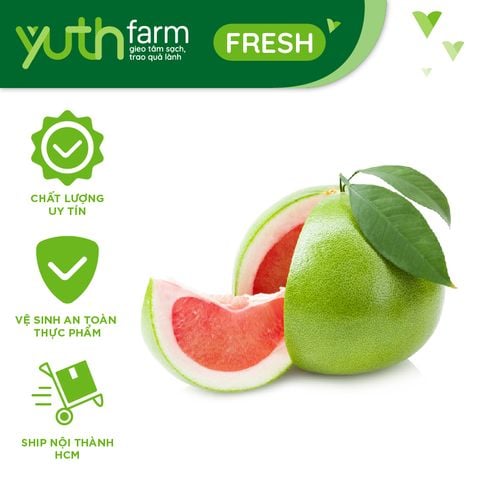  Bưởi da xanh [Giao trong TP. Hồ Chí Minh; Trừ Cần Giờ, Hóc Môn, Củ Chi] 