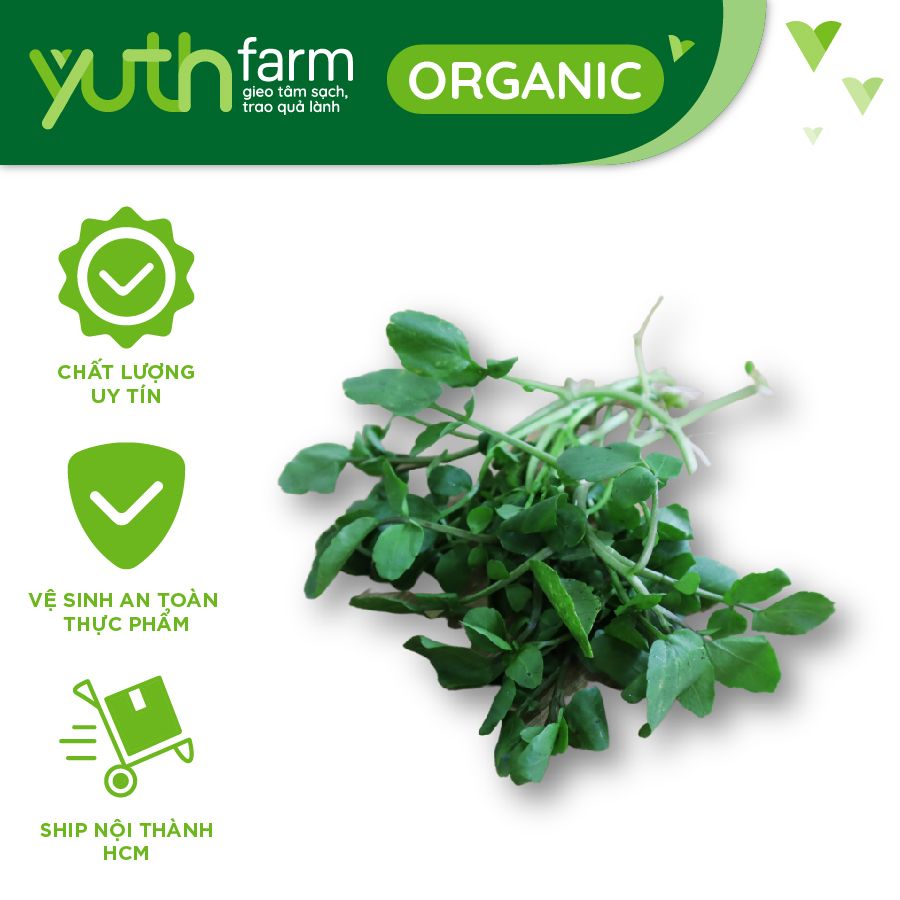  Xà lách xoong [Giao trong TP. Hồ Chí Minh; Trừ Cần Giờ, Hóc Môn, Củ Chi] 
