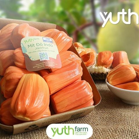  Mít đỏ tách múi (500g/khay) [Giao trong TP. Hồ Chí Minh; Trừ Cần Giờ, Hóc Môn, Củ Chi] 