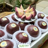  Vú sữa Lò Rèn Tím 