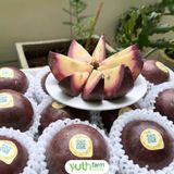  Vú sữa Lò Rèn Tím 