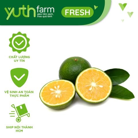  Cam xoàn [Giao trong TP. Hồ Chí Minh; Trừ Cần Giờ, Hóc Môn, Củ Chi] 