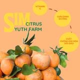  Quýt Sim Yuth Farm 