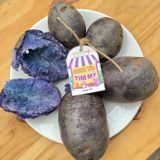  Khoai tây tím Mỹ 