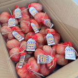  Khoai tây tím Mỹ 