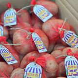  Khoai tây tím Mỹ 