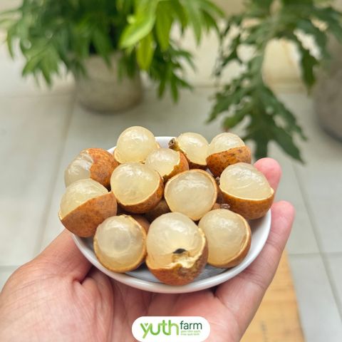  Nhãn tiêu Yuth Farm 