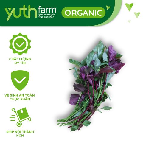  Rau dền tím [Giao trong TP. Hồ Chí Minh; Trừ Cần Giờ, Hóc Môn, Củ Chi] 