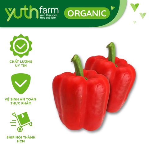  Ớt chuông đỏ 